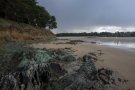 Anse de Porz morvan - Plestin les Grèves - Bretagne (29)
