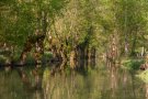 Au fil de l'eau du marais Poitevin