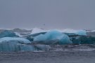 Plage de Jökulsárlón