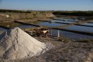 Marais salants de Guérande (44)