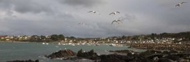 Port de Pen Ar Roz - Bretagne (22)