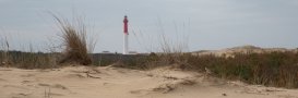 Phare de la Coubre (17)